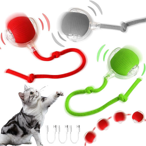 PELOTA RODANTE INTERACTIVA