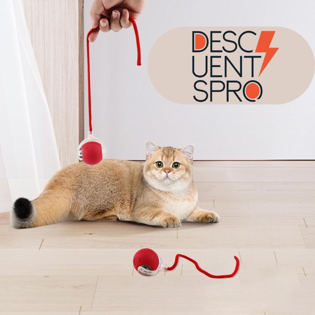 PELOTA RODANTE INTERACTIVA